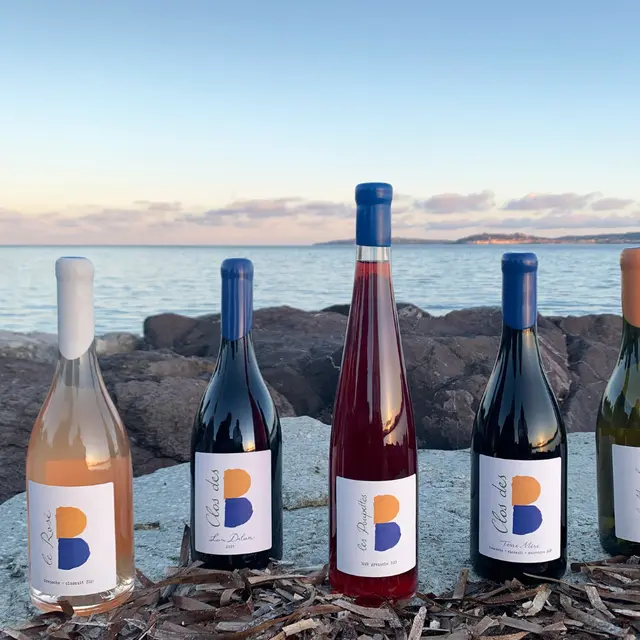 Clos des B_Grimaud