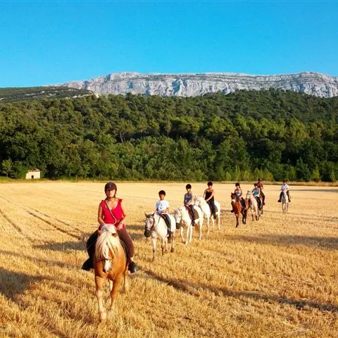 Centre équestre et poney club - Nans les Pins