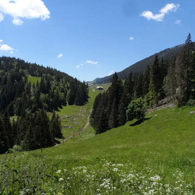 Sentier Tom Morel