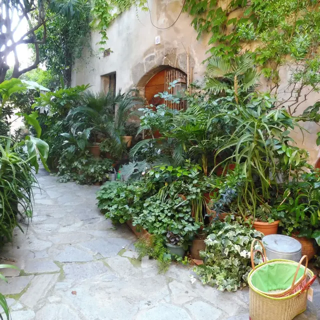 Promenade Botanique_Ramatuelle