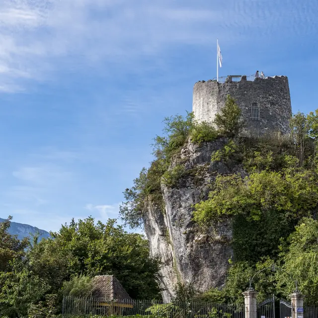 Tour des comtes de Genève