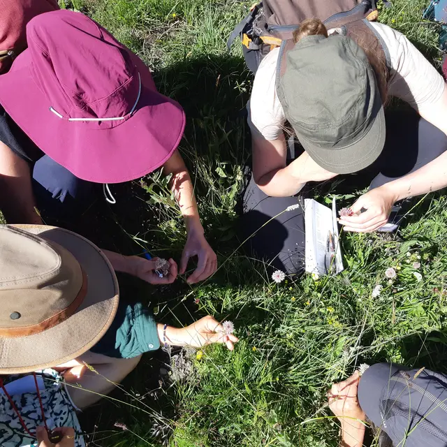 Initiation à la botanique (débutant)_Saint-Alban-Leysse