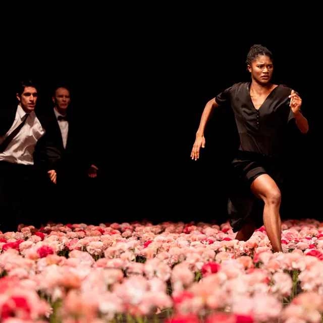 Danse - Pina Bausch Nelken - Festival d'été de Chateauvallon 2026_Ollioules