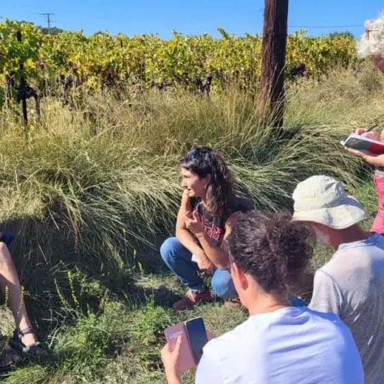 Balade découverte des plantes sauvages et médicinalesà l'Etang de La Bonde_Cabrières-d'Aigues