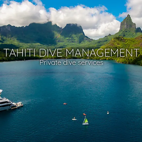 Tahiti Dive Management - Tahiti Tourisme