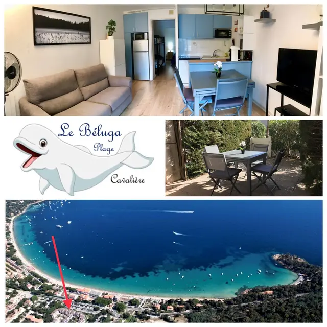 Le Beluga