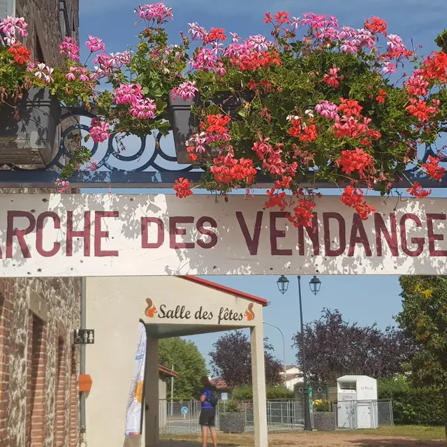 Marche des vendanges