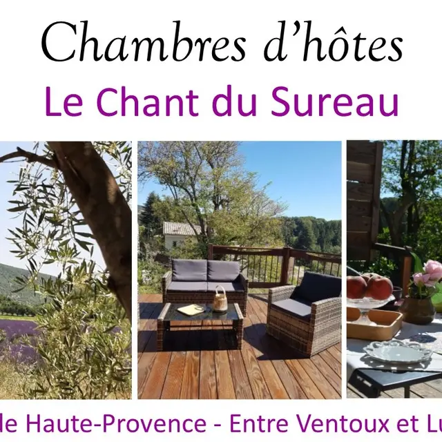 Le Chant du Sureau_Redortiers