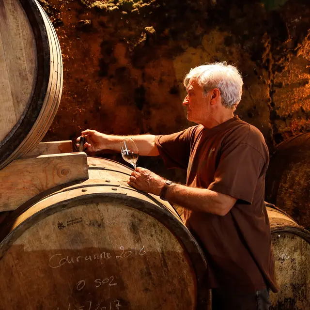 Visite de la cave - Domaine Richaud_Cairanne