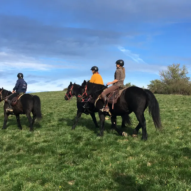 sortie à cheval à Montségur