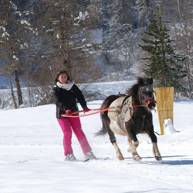 Les Ecuries des Ecrins