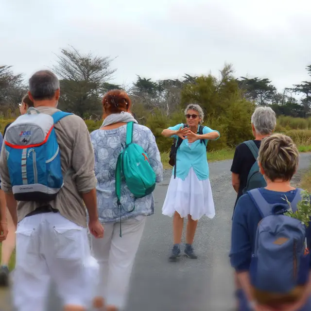 Balade contée et gourmande sur les marais d'Ars