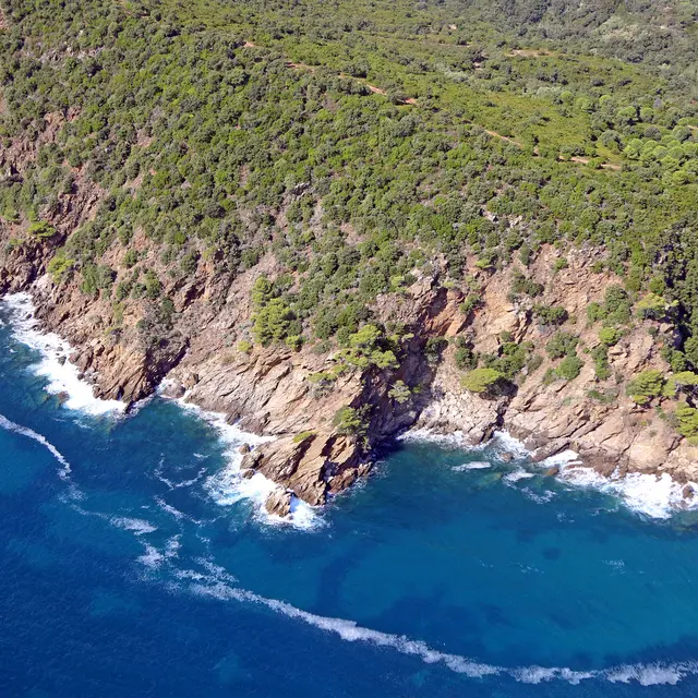 Littoral Cavalaire