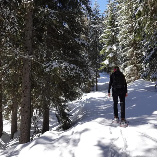 La Marlène_Raquettes Verbier