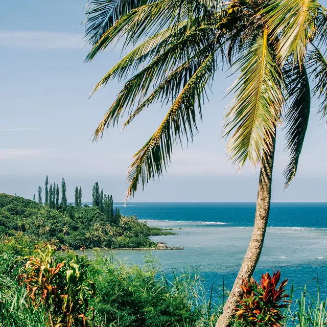 Paysage de Touho