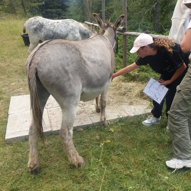 Pado Ranch_Beuil