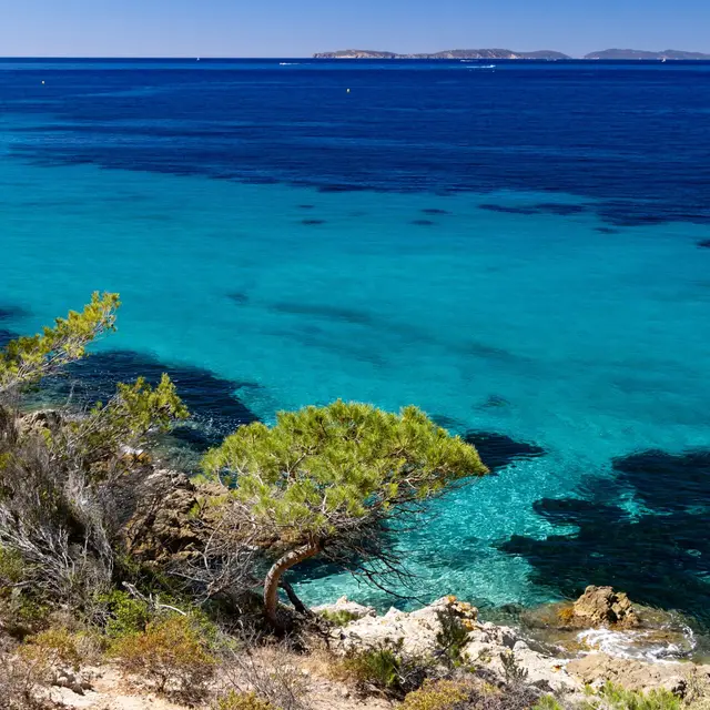 Journée de la mer : Méditerranée, un trésor à protéger_La Croix-Valmer