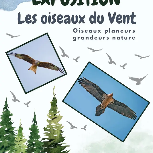 Les oiseaux du vent_Contes