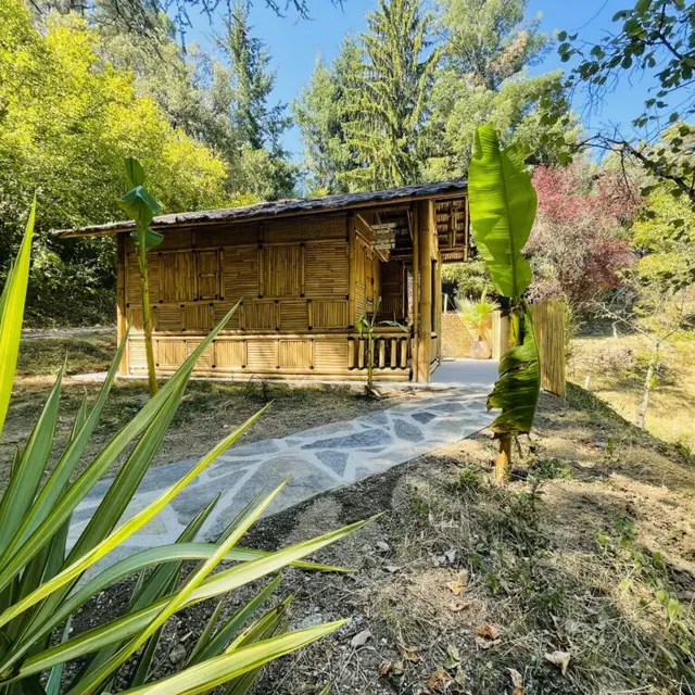 suite bambous soleil des cévennes