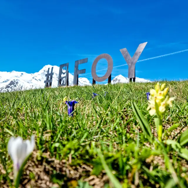 Circuit de randonnée : le Monal par Plan Bois_Sainte-Foy-Tarentaise