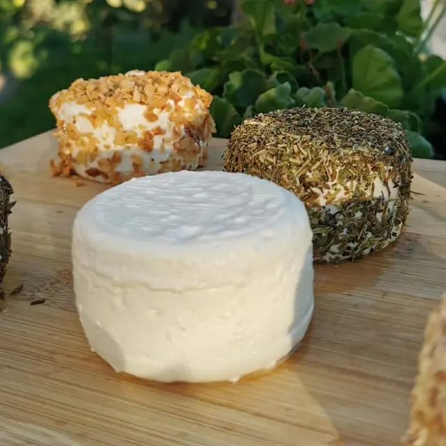 Fromage de brebis de la ferme de Chateau Robert.