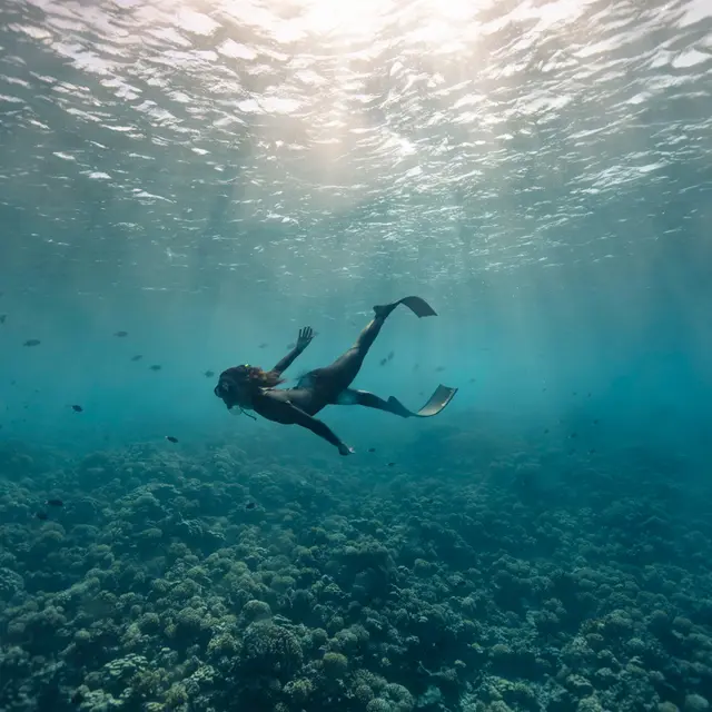 Passe de Tumakohua - Tahiti Tourisme