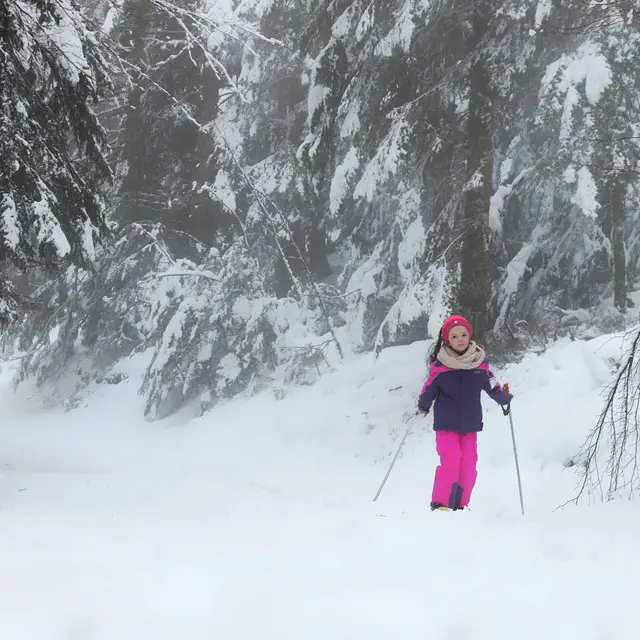 Col de la loge - balade en raquettes