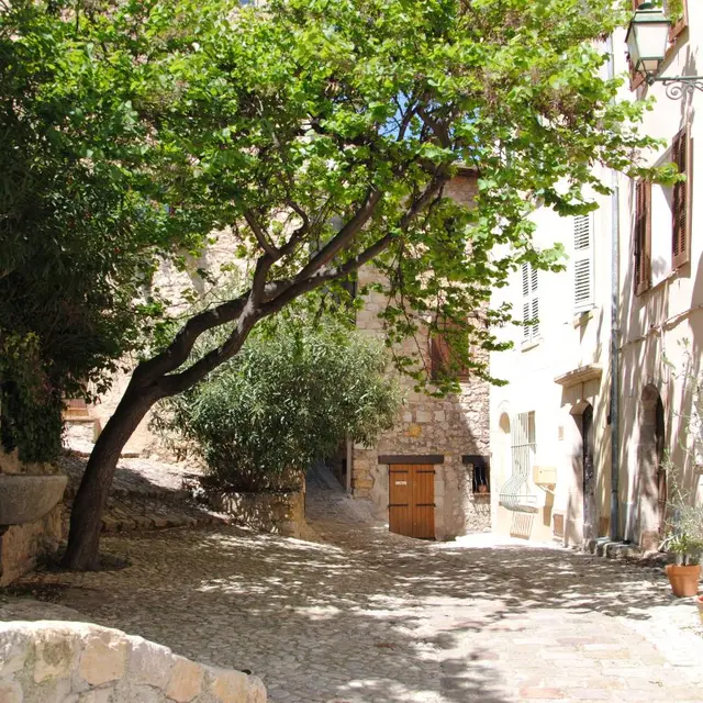 Promenade botanique au coeur de nos villages_Saint-Raphaël