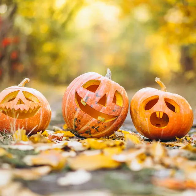 Halloween à La Londe les Maures