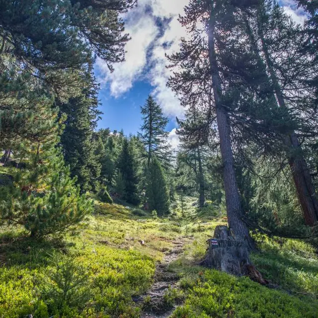 Sentier Domus