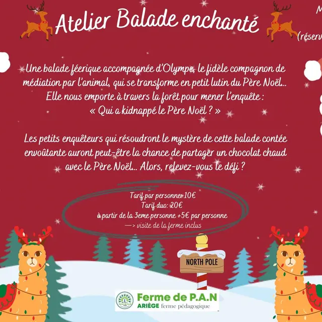 Ferme de P.A.N : Atelier Balade spéciale Noël_Arignac