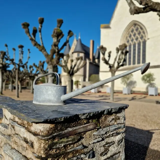 Chronique des jardins du château sans eau