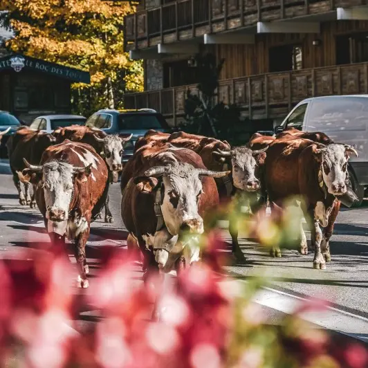 Veillée d'hiver : l'agriculture