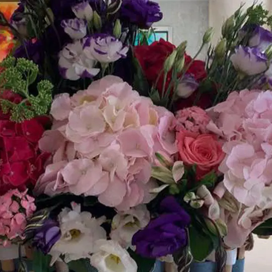 Claudy Fleurs 1