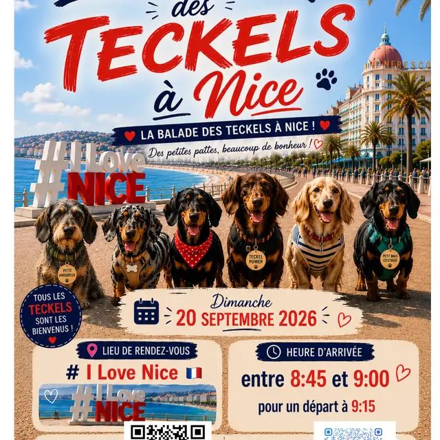 design-sans-titre.webp