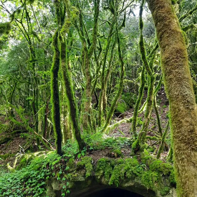 Vallée du Madet