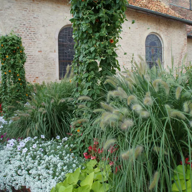Village fleurie de Saint Trivier de Courtes