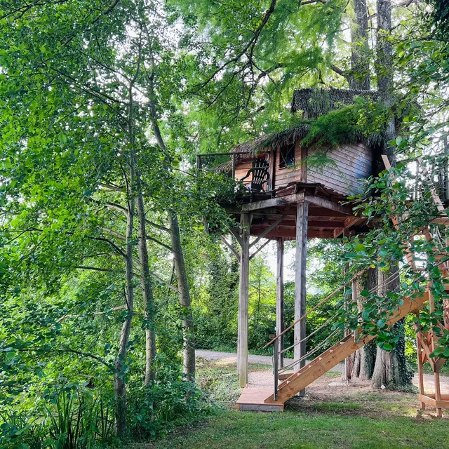Cabane perchée les Écureuils - DDLD_Saint-Paul-de-Varax