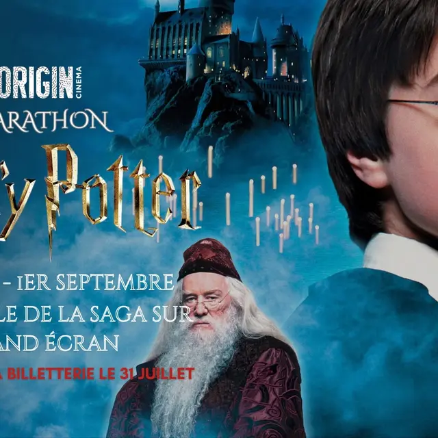 LE MARATHON HARRY POTTER