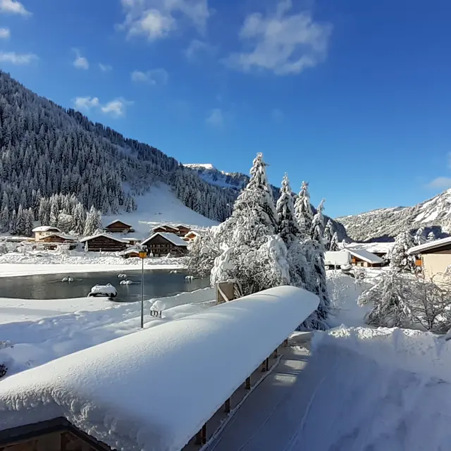 Chalet l'Orée du Lac