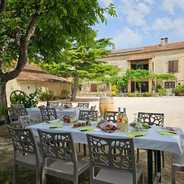 Dégustation et pique-nique - Domaine des Favards_Violès