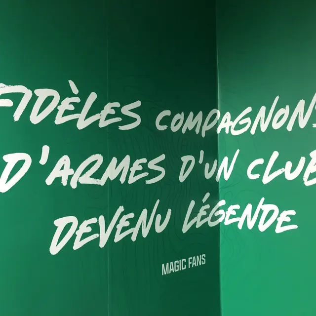 ASSE vs METZ_Saint-Étienne