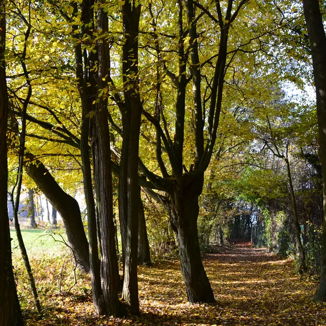 Sentier Yvoire Nernier