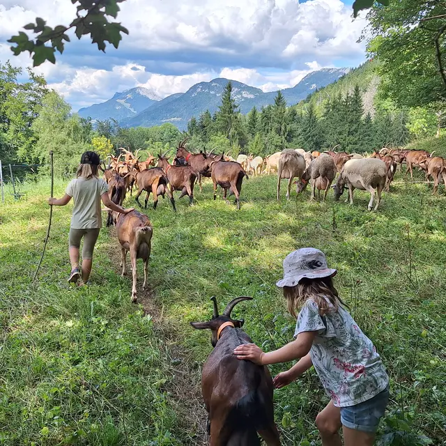 À l'aurore paysanne l Renc'Arts du Parc_Le Châtelard
