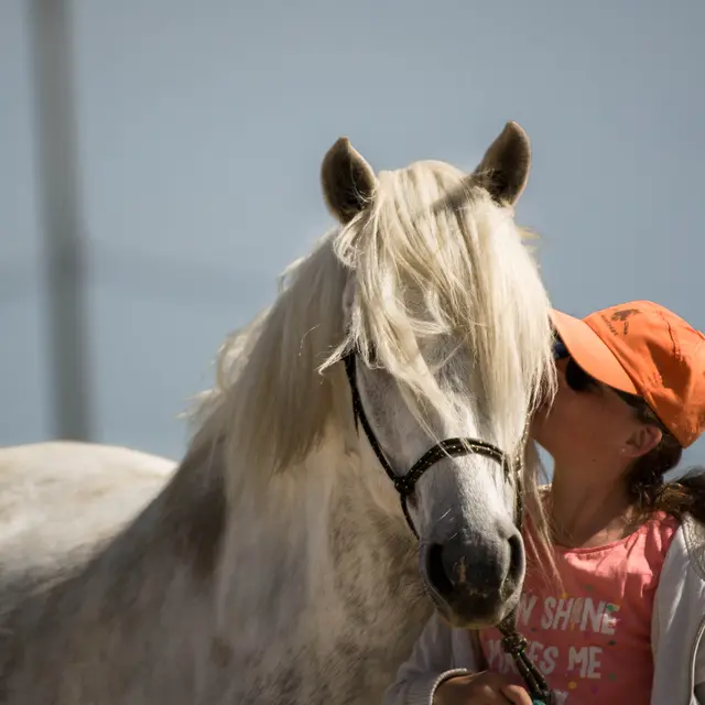 Poney Club de Monsupt