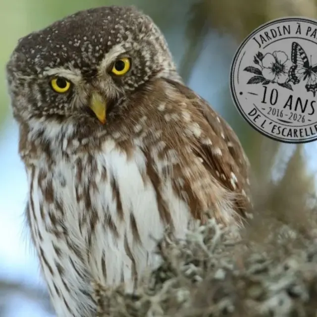 La nature fait son show_La Celle