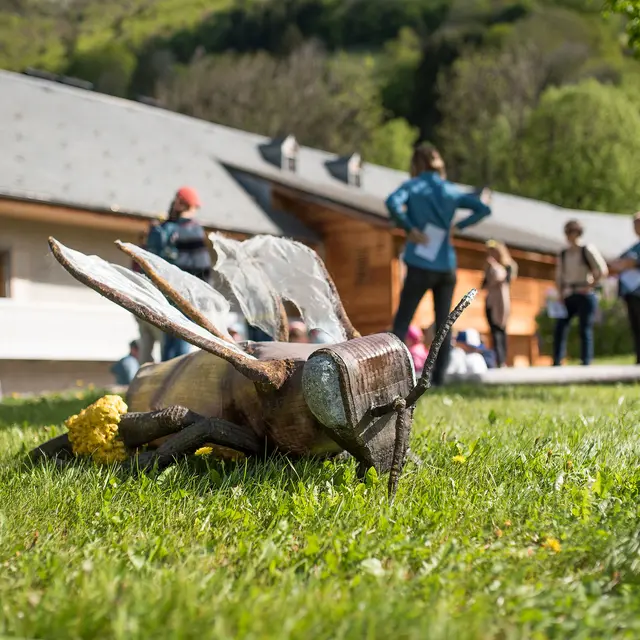 Atelier abeilles à l'abbaye d'Aulps