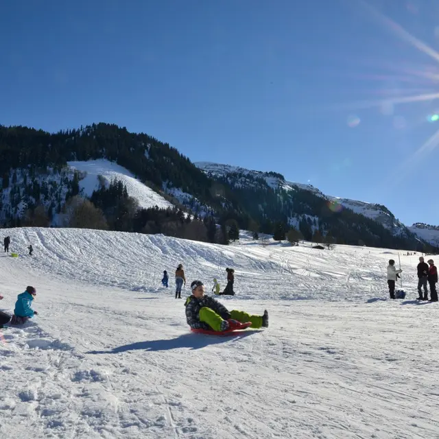 Luge