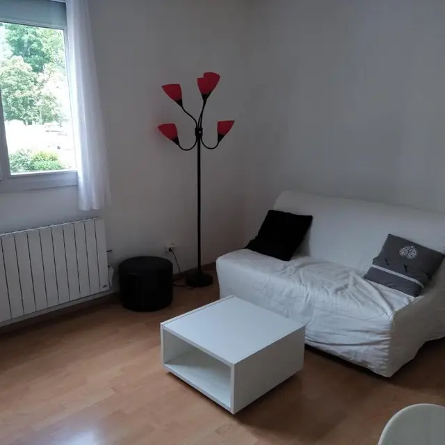 Salon appartement Orée du Parc n°29C