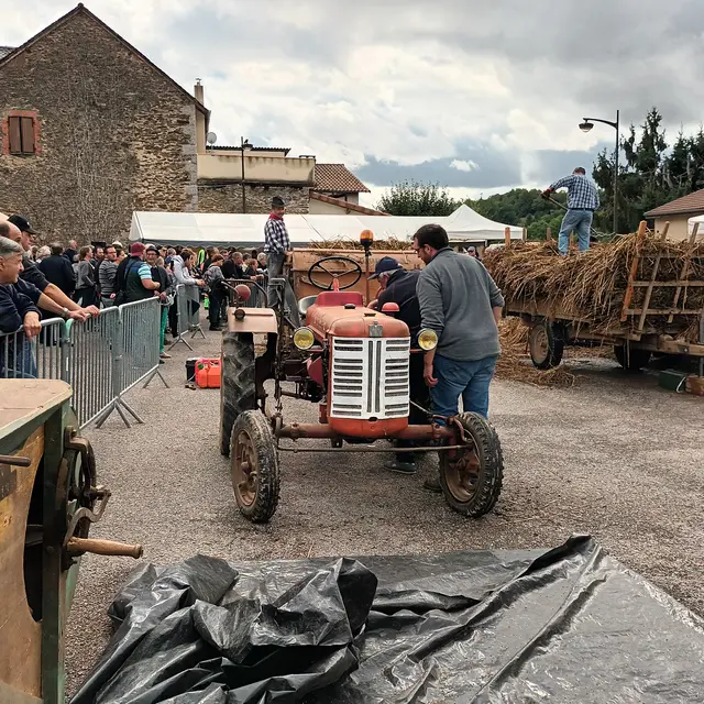 Fête du sarrasin